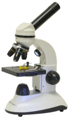 Microscope image