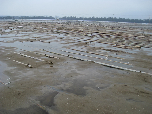 Image of wet sand flats